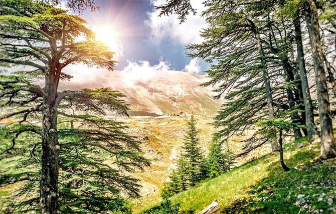 جمّال ترست بنك يرعى  المحميات الطبيعية في لبنان
