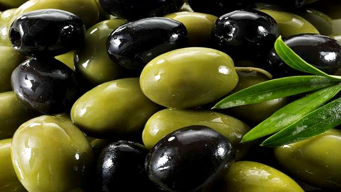 قشر الزيتون يفيد في مكافحة السرطان