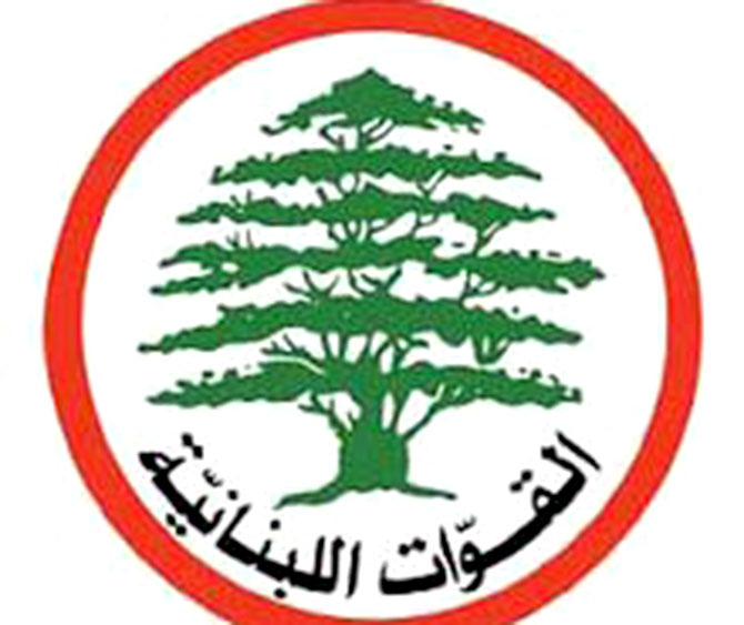 «القوات»: البيئة لم تحرك ساكنا تجاه  التسرب النفطي على اوتوستراد الزوق