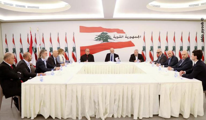 جعجع عرض مع وفد ايطالي  الاستثمار في المناطق الريفية