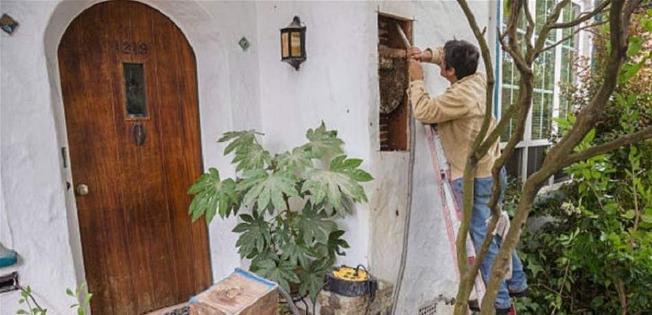زوجان عاشا مع 80 ألف نحلة في 