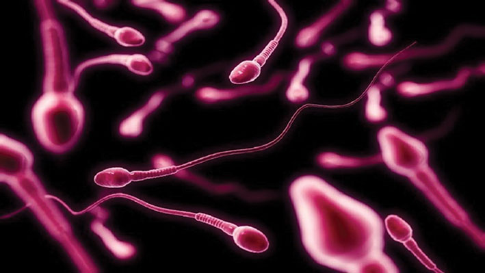 خصوبة الرجال تضعف مع التقدم في العمر كـ