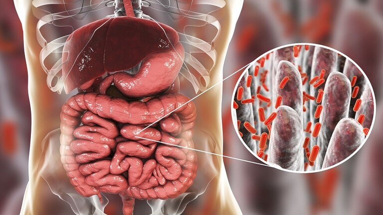 دراسة تربط عقاقير شائعة بتدهور صحة الأمعاء