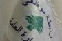 «المركزي» لن نكشف عن فحوى المناقشات مع «الصندوق»