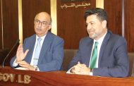نجم بعد لجنة الطاقة: مجلس إدارة للكهرباء الأسبوع المقبل