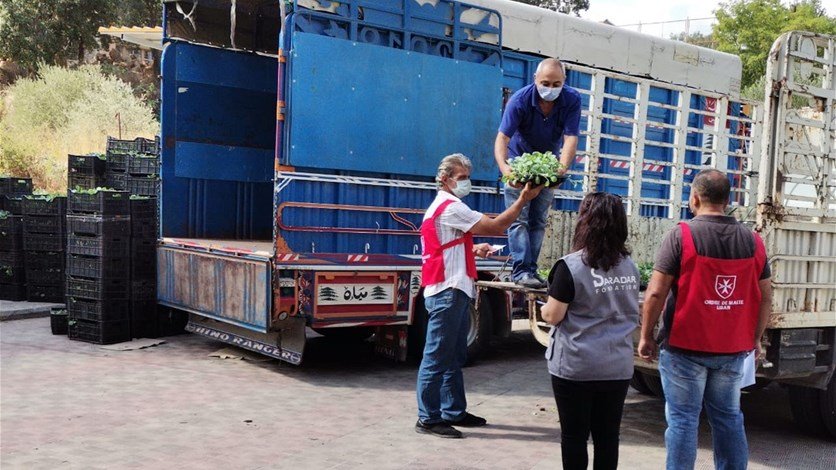 مشروع زراعي بالتعاون بين منظمة مالطا و«سرادار»