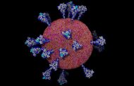 اكتشاف إنزيم يؤثر على انتشار الفيروس التاجي