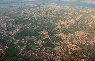 نقيب الفلاحين في مصر: مصر تشهد حدثا زراعيا غير مسبوق في تاريخ الزراعة
