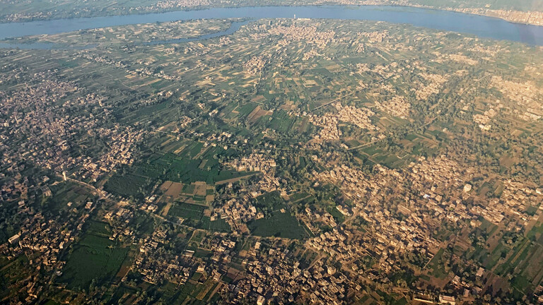 نقيب الفلاحين في مصر: مصر تشهد حدثا زراعيا غير مسبوق في تاريخ الزراعة