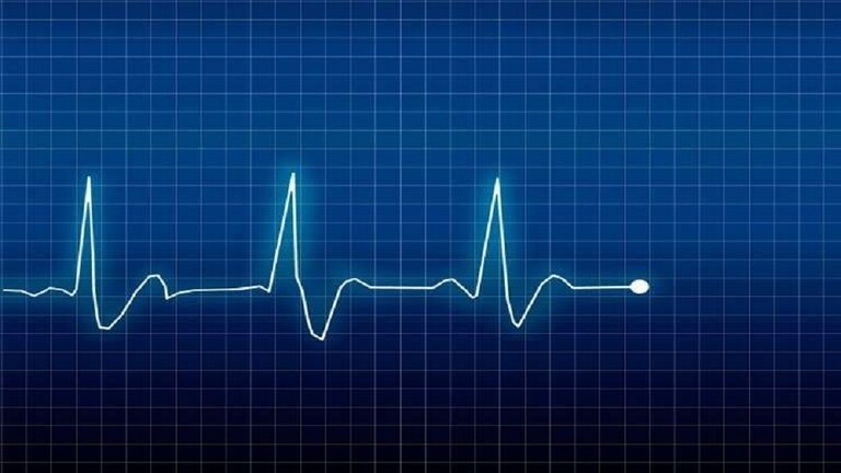 الزيوت النباتية أم الزبدة!.. أيهما الأفضل لصحة القلب؟