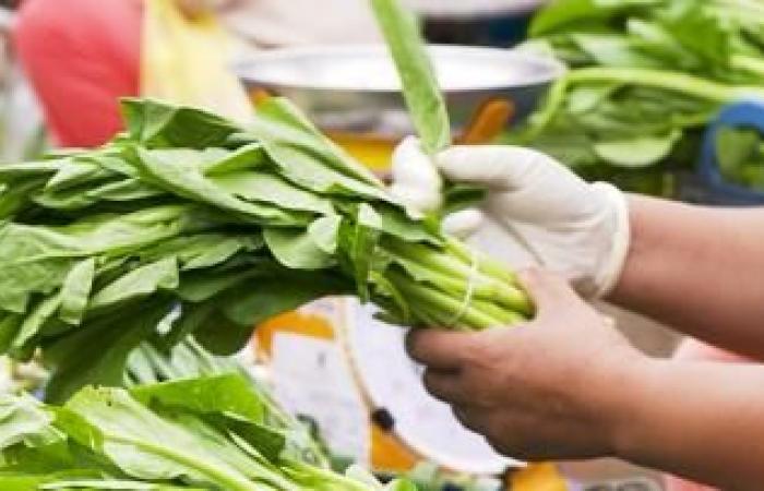مشاهير بوليوود تخلوا عن اللحوم وأصبحوا نباتيين