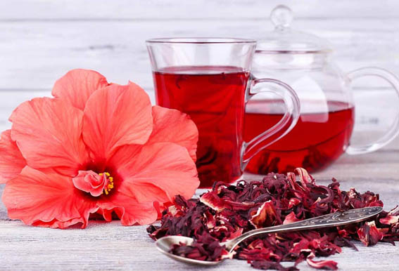 شاي الكركديه... 5 أسباب تدفعك لشربه
