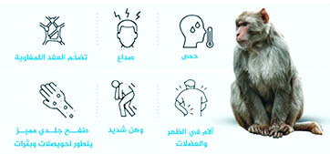 هل جدري القرود أشد فتكًا من كورونا؟