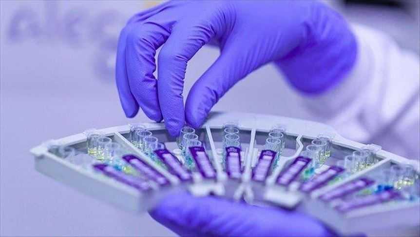 موديرنا تختبر لقاحاً محتملاً للوقاية من جدري القردة