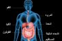 الاشقر: الخدمات المميزة التي يحترفها اللبناني رفعت الطلب على الفنادق والمطاعم الفاخرة