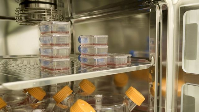 لأول مرة في التاريخ: دم مصنوع في المختبر يُنقل للبشر