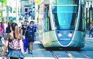 بسبب دهس قطة.. محكمة فرنسية تغرّم هيئة السكك الحديدية الوطنية