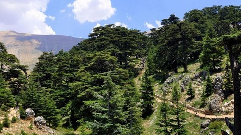 فتح أبواب المحميات الطبيعية مجاناً الأحد