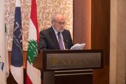 عبود: نداء إلى كل اللبنانيين في بلاد الانتشار للمجيء إلى لبنان خلال الصيف