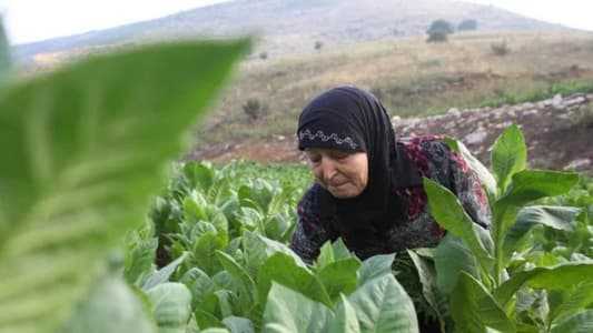 نكسة 