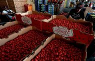 رسوم أميركية بنسبة 17% على واردات الطماطم (البندورة) المكسيكية