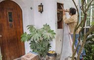 زوجان عاشا مع 80 ألف نحلة في 