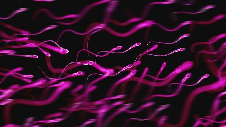 كيف يؤثر تاريخ «العائلة» على خصوبة الرجال؟