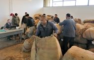إدارة الريجي تتسلم المحاصيل من المزارعين في صور وعكار