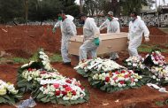 خبراء يحذرون من ازدياد الأمراض بسبب الفيروسات المنتقلة من الحيوانات للبشر