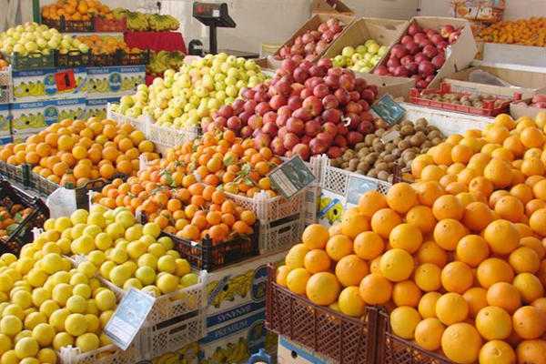 نقابة مزارعي الجنوب: لتفعيل برنامج دعم المدخلات الزراعية