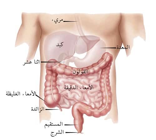 أطعمة ابتعد عنها اذا كنت تعاني من التهاب القولون