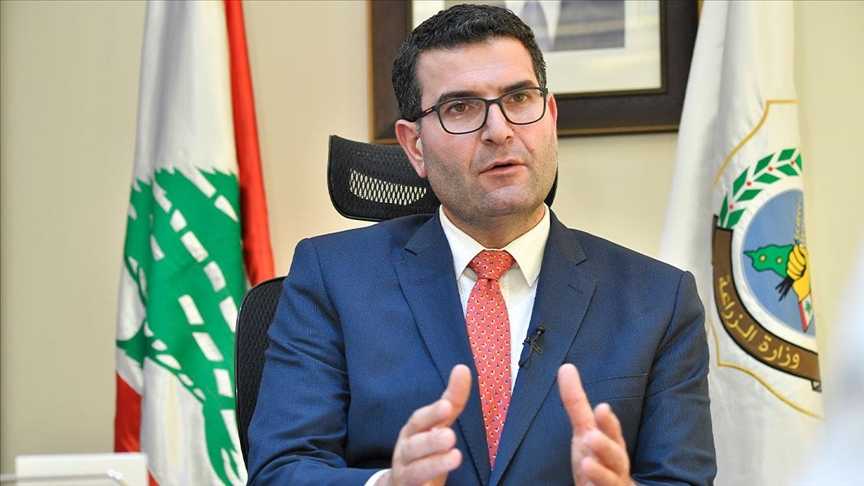 الحاج حسن: أكثر من 45 ألف شجرة زيتون جنوباً أُحرِقت بالكامل