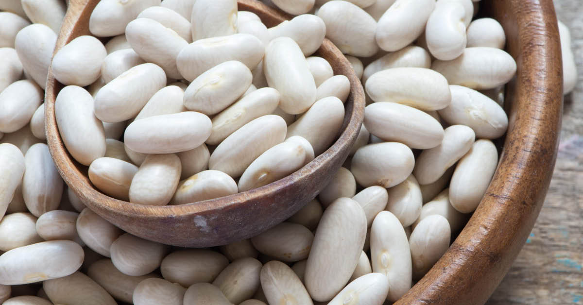 بروتين نباتي صحي للقلب ويخفض الكوليسترول