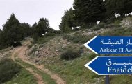 بلدية فنيدق تحذّر من قطع الأشجار المعمرة في القموعة