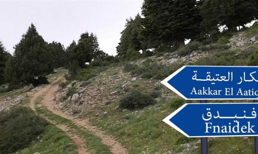 بلدية فنيدق تحذّر من قطع الأشجار المعمرة في القموعة