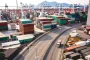 صادرات الدجاج البرازيلي تسجل مستوى قياسياً مرتفعاً