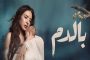 بيان بتقييم المطابقة على المنتجات المستوردة الخاضعة للمواصفات الإلزامية