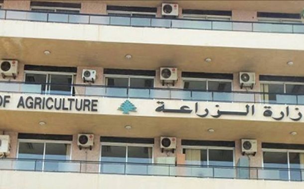 وزارة الزراعة تعلن استمرار توافر المحاصيل