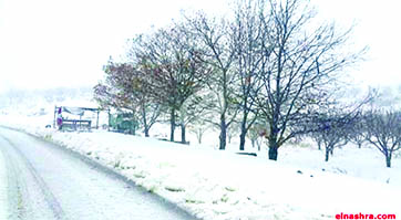 رياح شمالية باردة حتى الجمعة