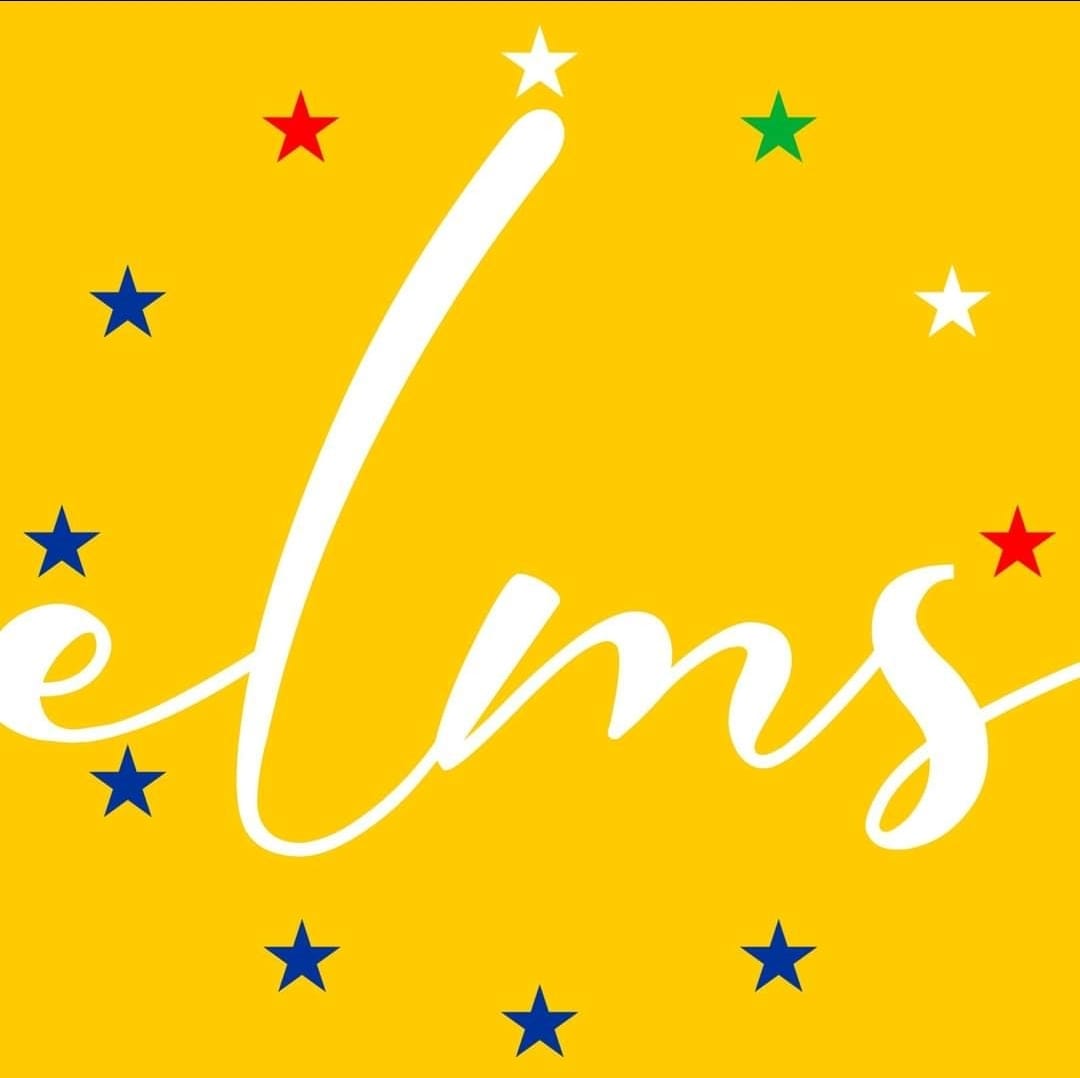 الجمعية الطبية اللبنانية - الأوروبية: هناك نوعا من التضخيم لموضوع انفلونزا H3N2