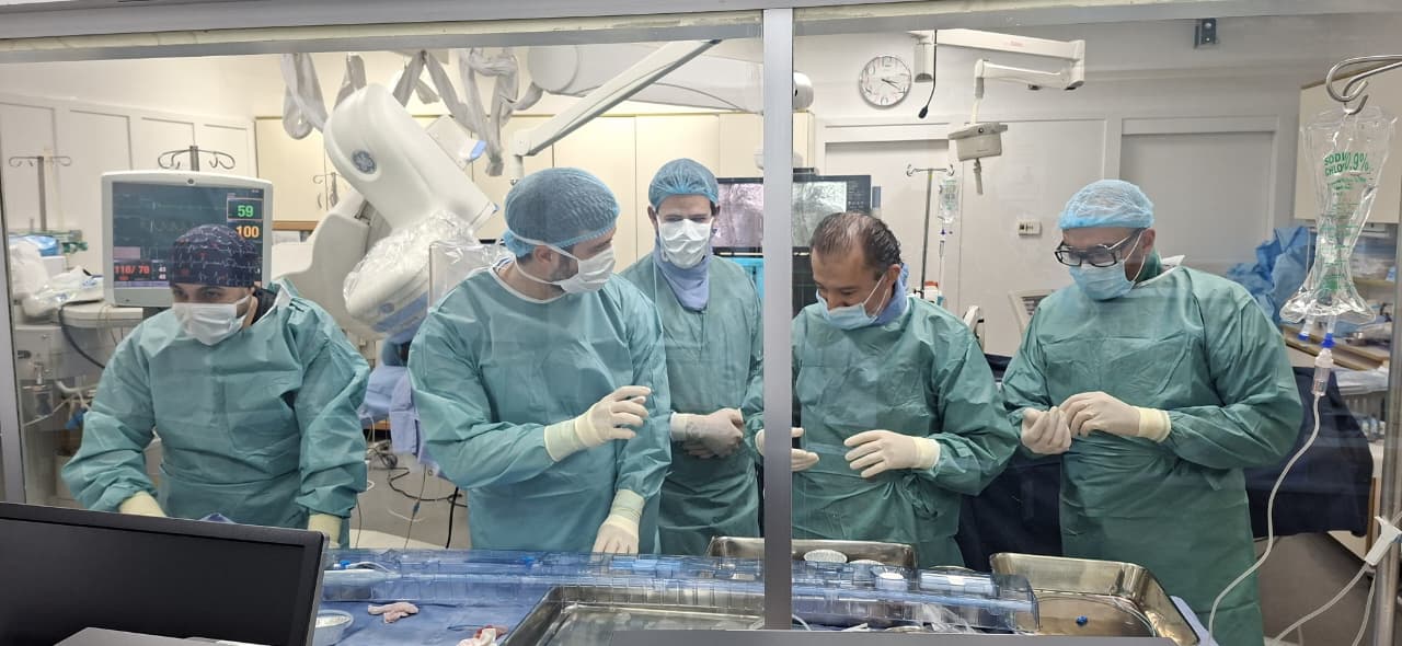 أول زرع عبر الجلد لصمام رئوي قابل للتمدد الذاتي في 