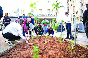 بعد عام على إطلاقها.. غابة مصغّرة لبنك «بيمو» تترسّخ في قلب العاصمة