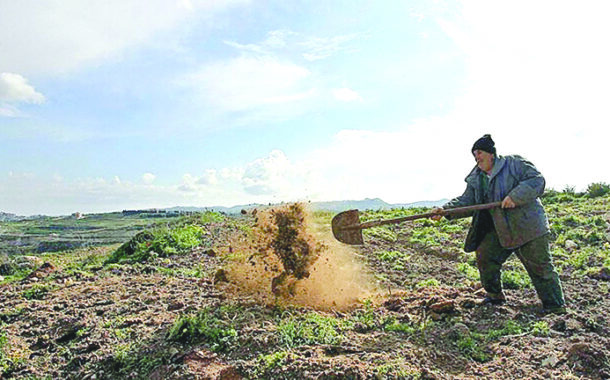التقرير الثالث حول تداعيات الاعتداءات على الزراعة في لبنان: تصاعد الأضرار
