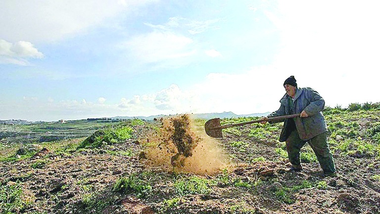 التقرير الثالث حول تداعيات الاعتداءات على الزراعة في لبنان: تصاعد الأضرار