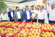 إطلاق صنف البطاطا الجديد “فاجا” في سرعين برعاية الوزير هاني وبمبادرة من النائب ضاهر
