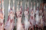 نقابة اتحاد القصابين وتجار المواشي تعترض على قرار إغلاق المَزارع حول المطار