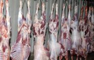 نقابة اتحاد القصابين وتجار المواشي تعترض على قرار إغلاق المَزارع حول المطار