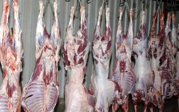 نقابة اتحاد القصابين وتجار المواشي تعترض على قرار إغلاق المَزارع حول المطار