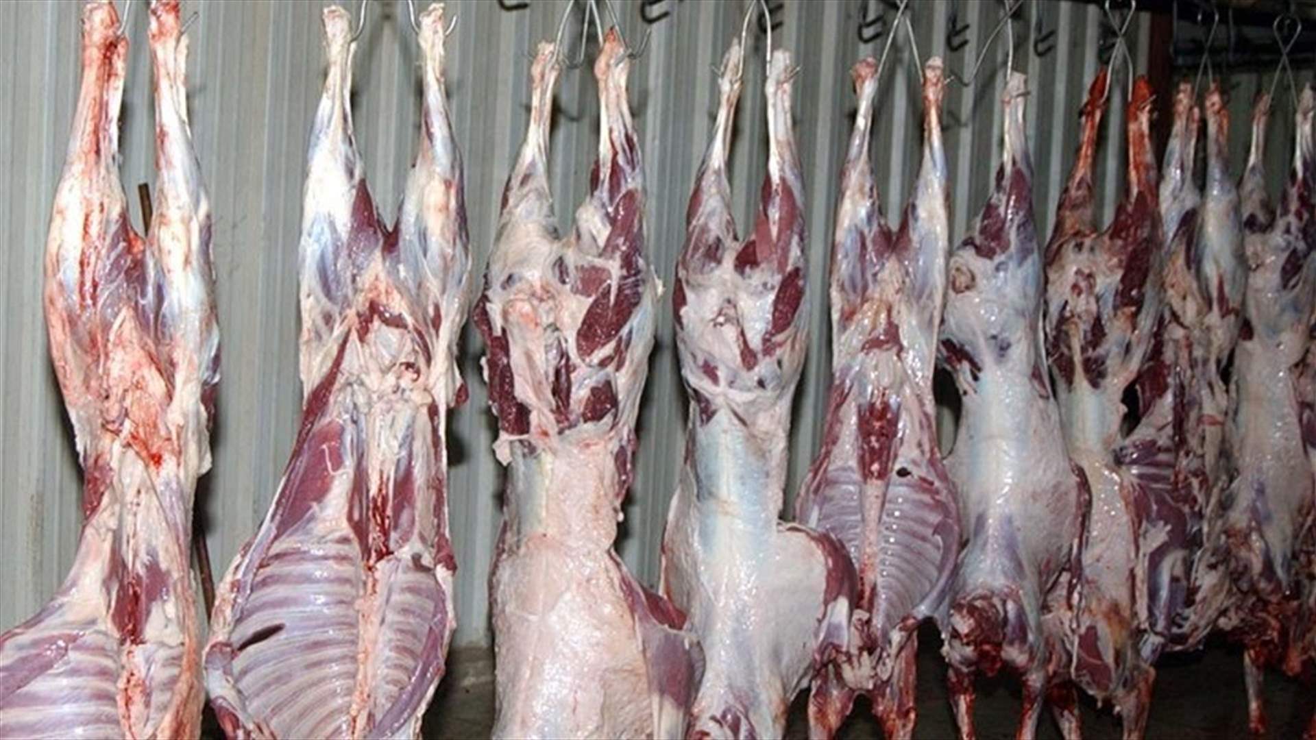 نقابة اتحاد القصابين وتجار المواشي تعترض على قرار إغلاق المَزارع حول المطار