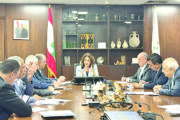 وزيرة الشؤون عرضت مع نواب شماليين في أولويات الحماية الإجتماعية